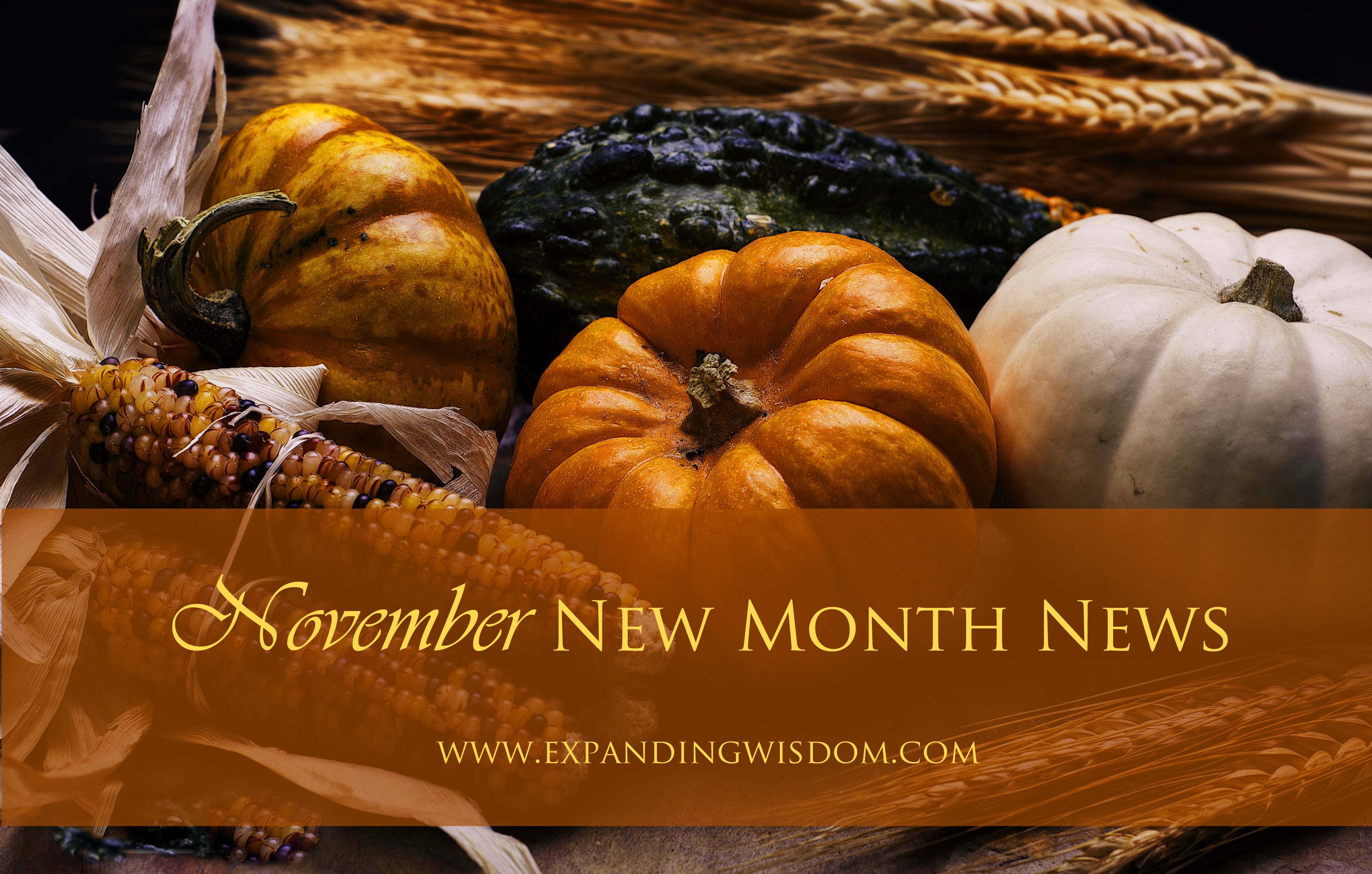 November New Month News