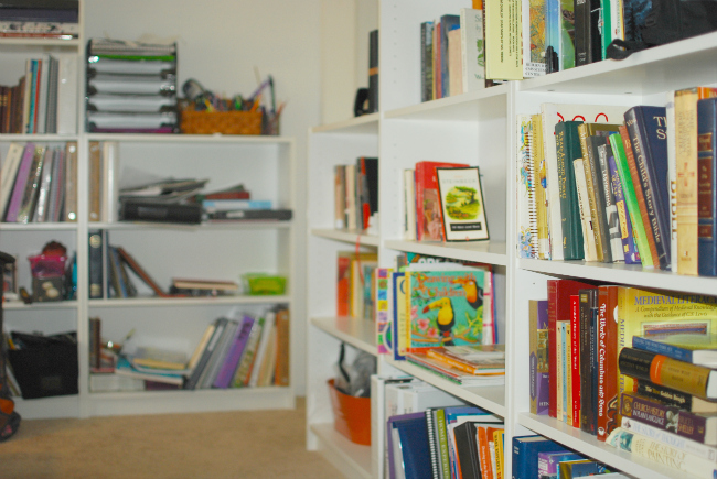 The Bookshelves