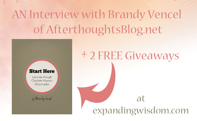 brandy vencel giveaway and interview