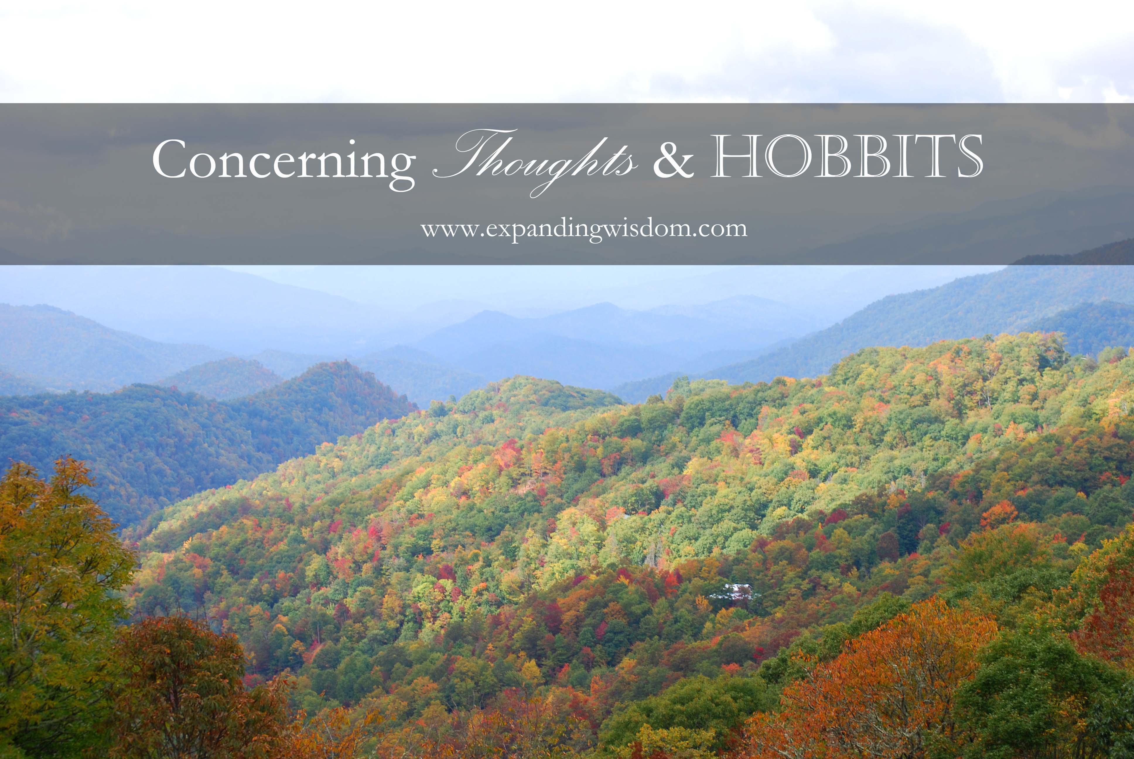 concerning hobbits and thoughts copy