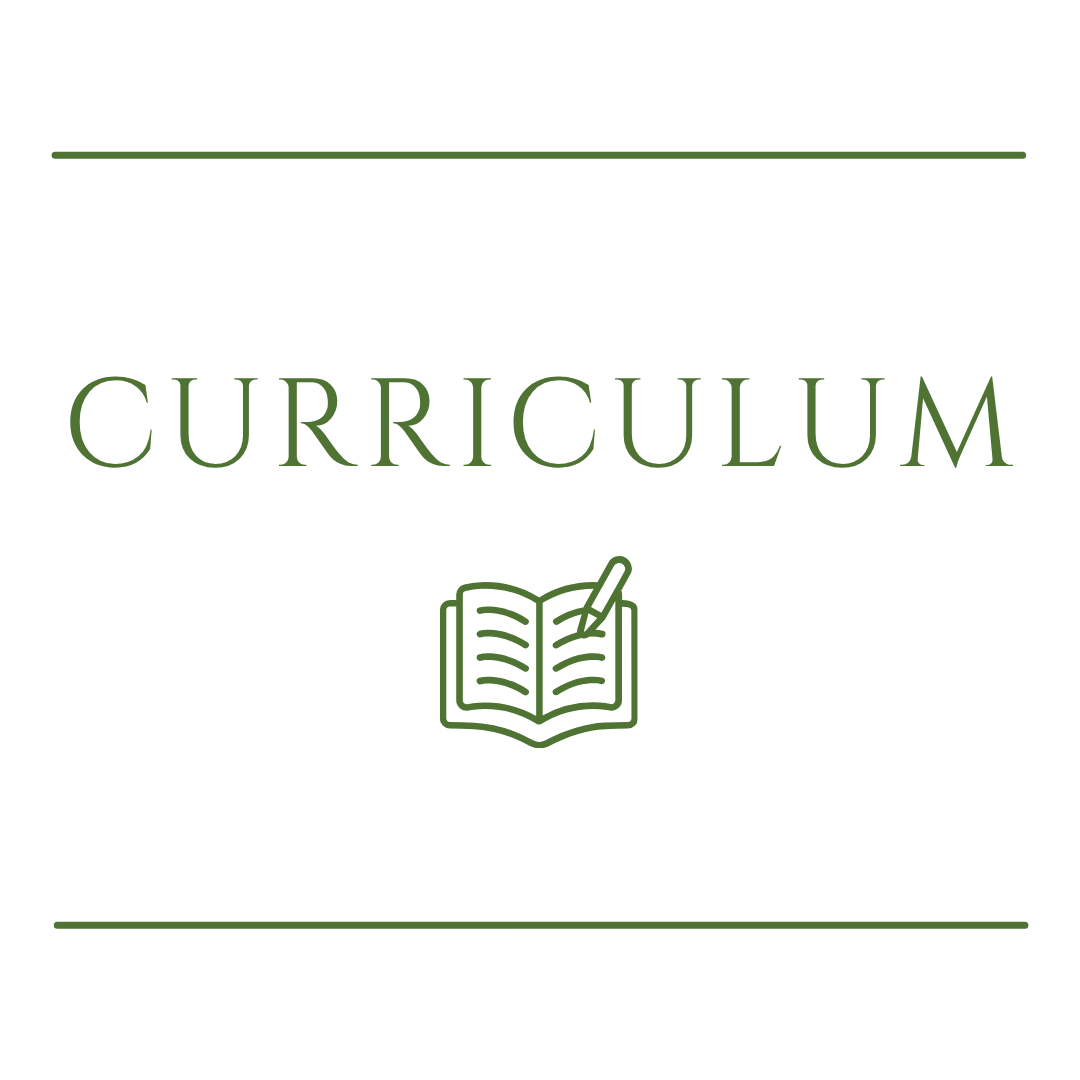 curriculum