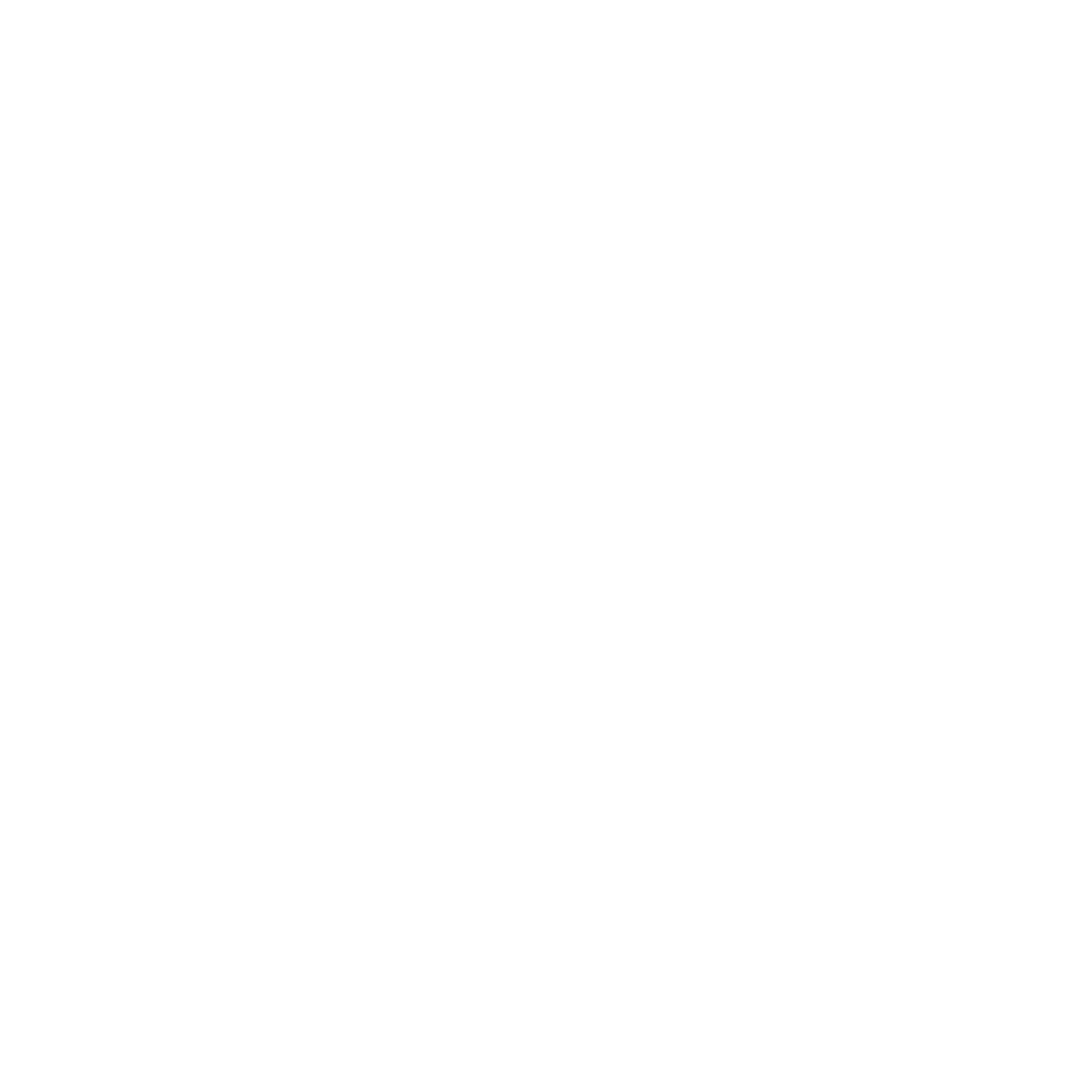 logotype white