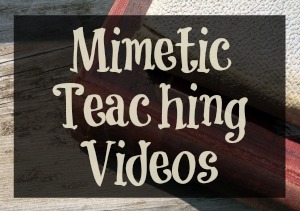 mimetic teaching videos