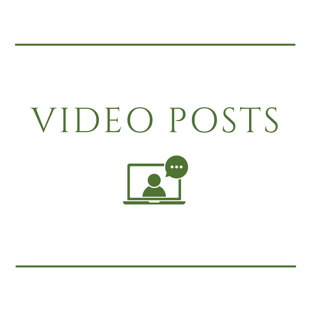 video posts